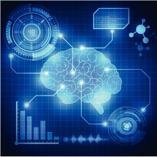 完整的种子解决方案